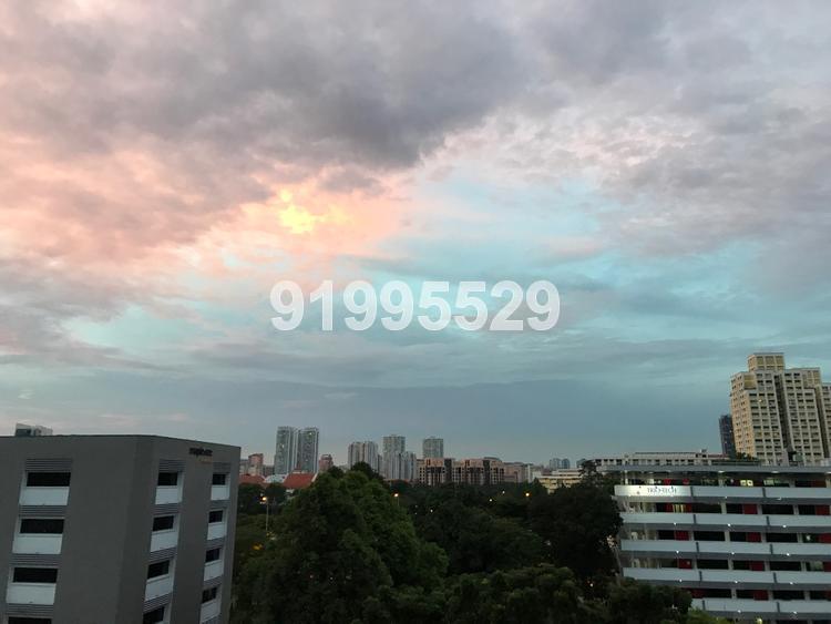 Blk 206 Toa Payoh North (Toa Payoh), HDB 3 Rooms #142925922